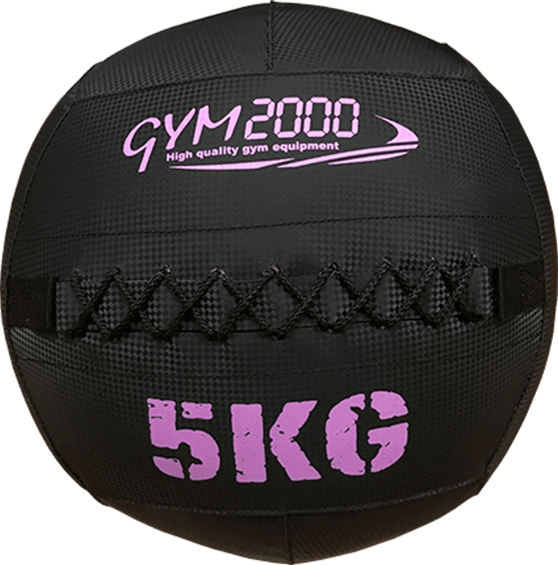 GYM2000 Wall Ball