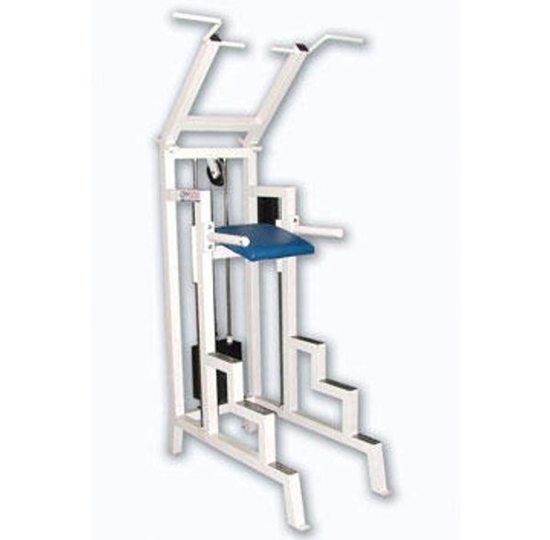 GYM2000 Chin/dips assisterende, 75kg