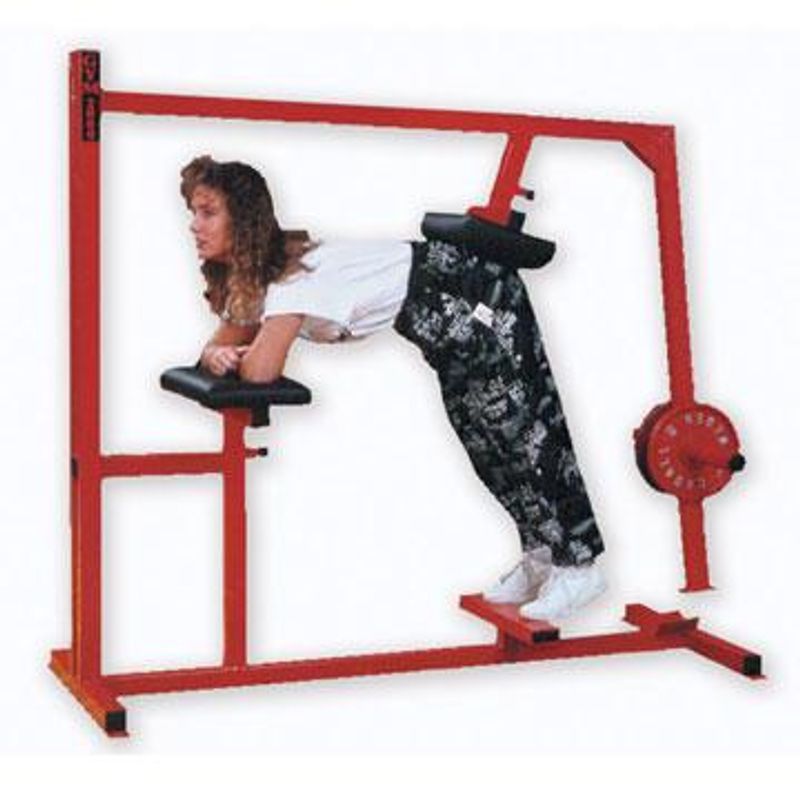 GYM2000 Donkey Raises