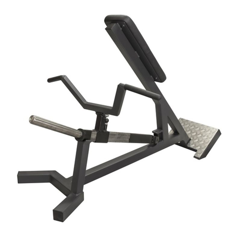 GYM2000 Incline Level Row