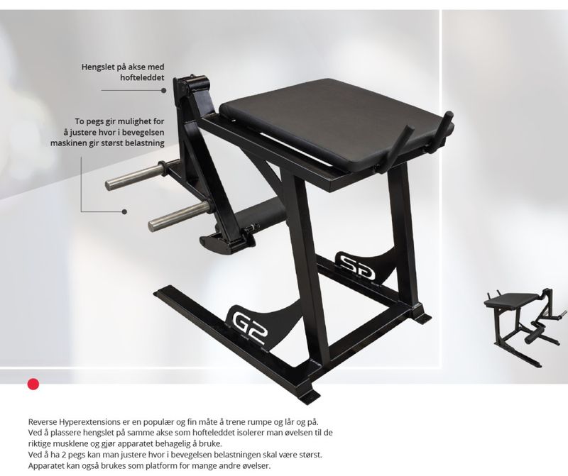 GYM2000 Reverse Hyper