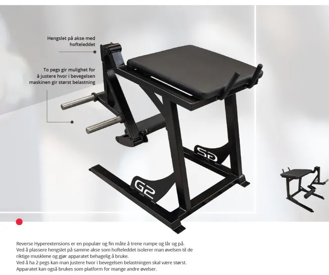 Hovedbilde GYM2000 Reverse Hyper